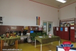 Liceul St.O.Iosif din Rupea