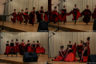 Zilele Liceului St.O.Iosif Rupea